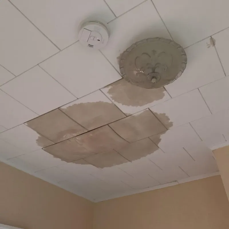 Ceiling Water Damage Repair in McCord, OK