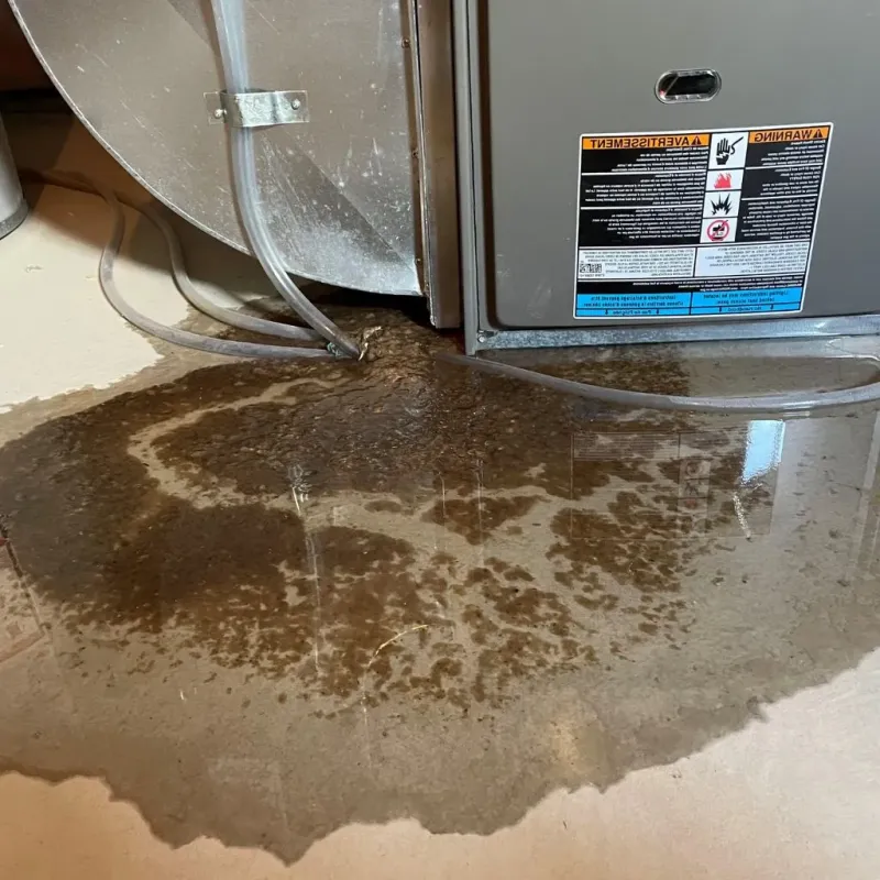Pipe Burst and Leak Restoration in McCord, OK