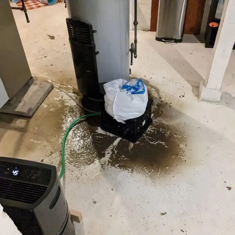 Sewage Backup Cleanup Service in McCord, OK